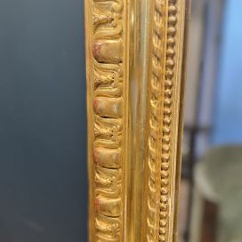 IMG_7436.jpg