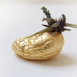 Pomme de terre